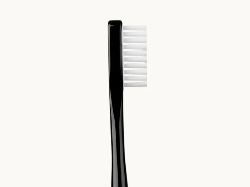 Vue rapprochée des filaments